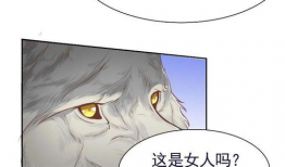 狼漫画吧,探寻狼性世界的奇幻旅程